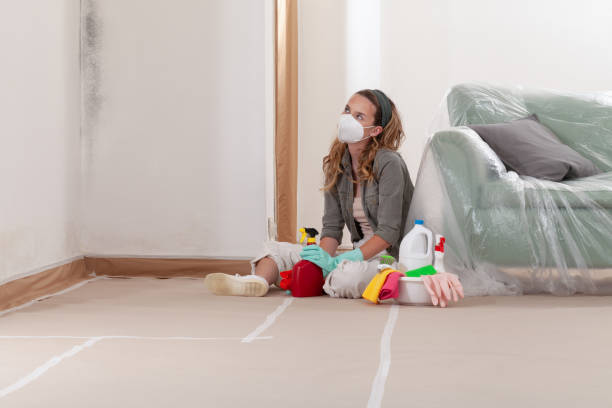 Reliable Commercial Mold Remediation contractor in Barclay, MD by 24 Hour Mold Removal
