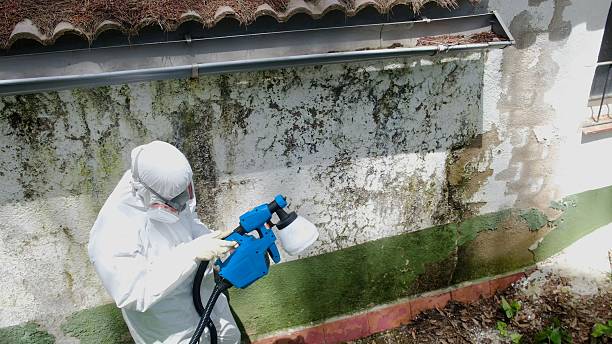 Top rated local Commercial Mold Remediation specialists in Barclay, MD